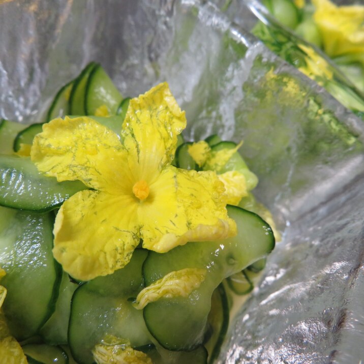 わっ 綺麗 ゴーヤの花とキュウリの酢のもの レシピ 作り方 By 夏はぜ 楽天レシピ わっ 綺麗 ゴーヤの花とキュウリの酢のもの レシピ 作り方 By 夏はぜ 楽天レシピ